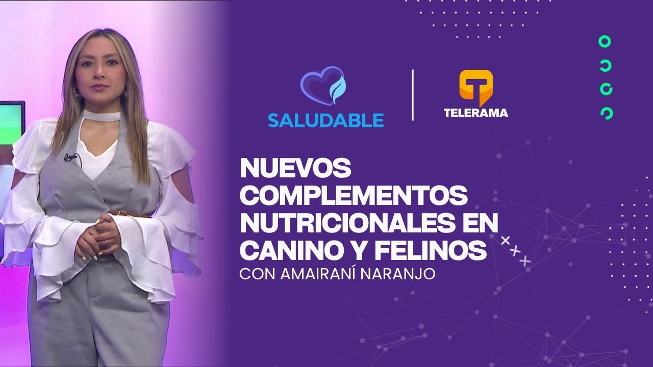 Nuevos complementos nutricionales en canino y felinos
